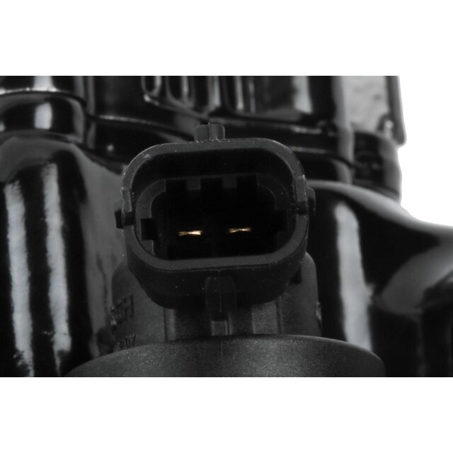 Alternate Image