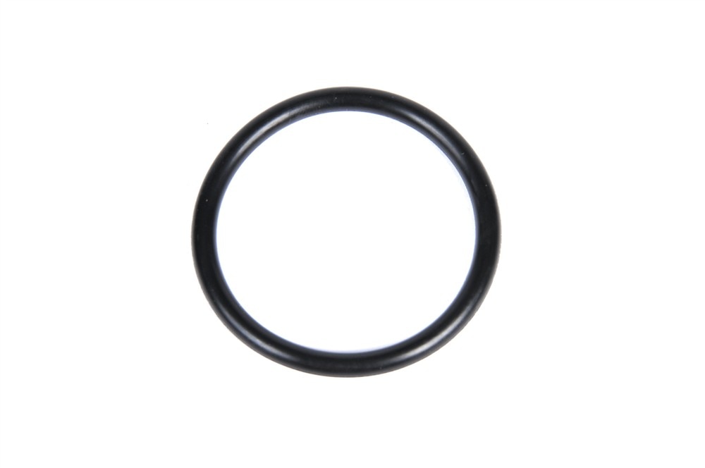 GM Genuine Parts Dipstick Tube Seal
