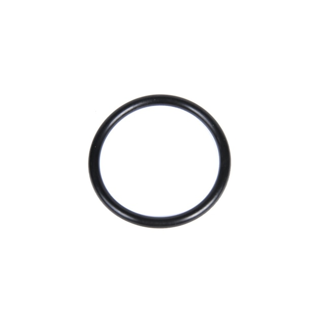 GM Genuine Parts Dipstick Tube Seal
