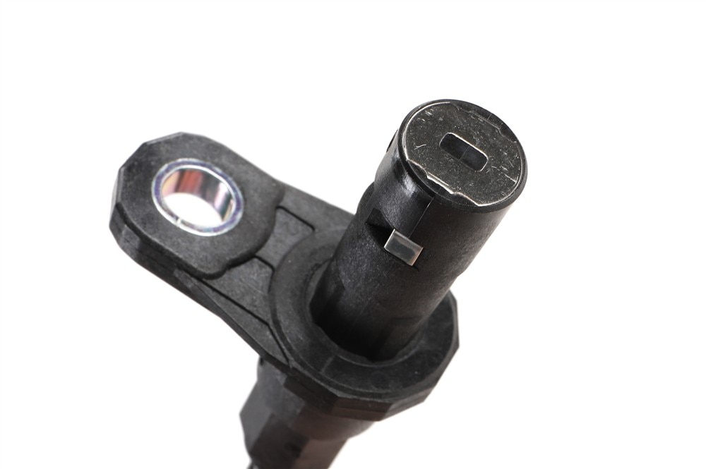 Alternate Image