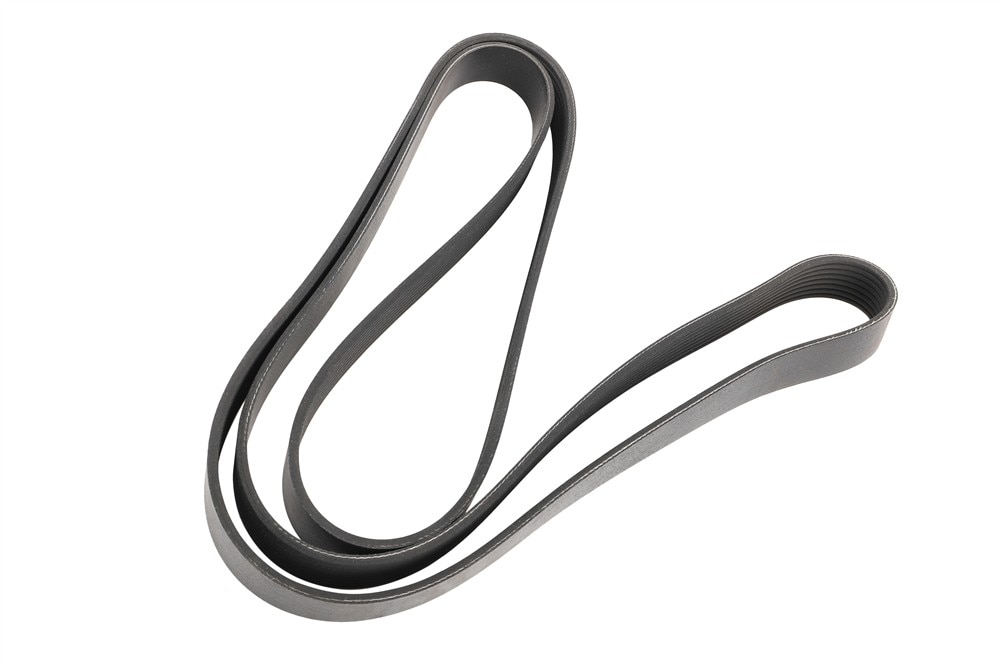 GM Genuine Parts Accessory Driver Belt