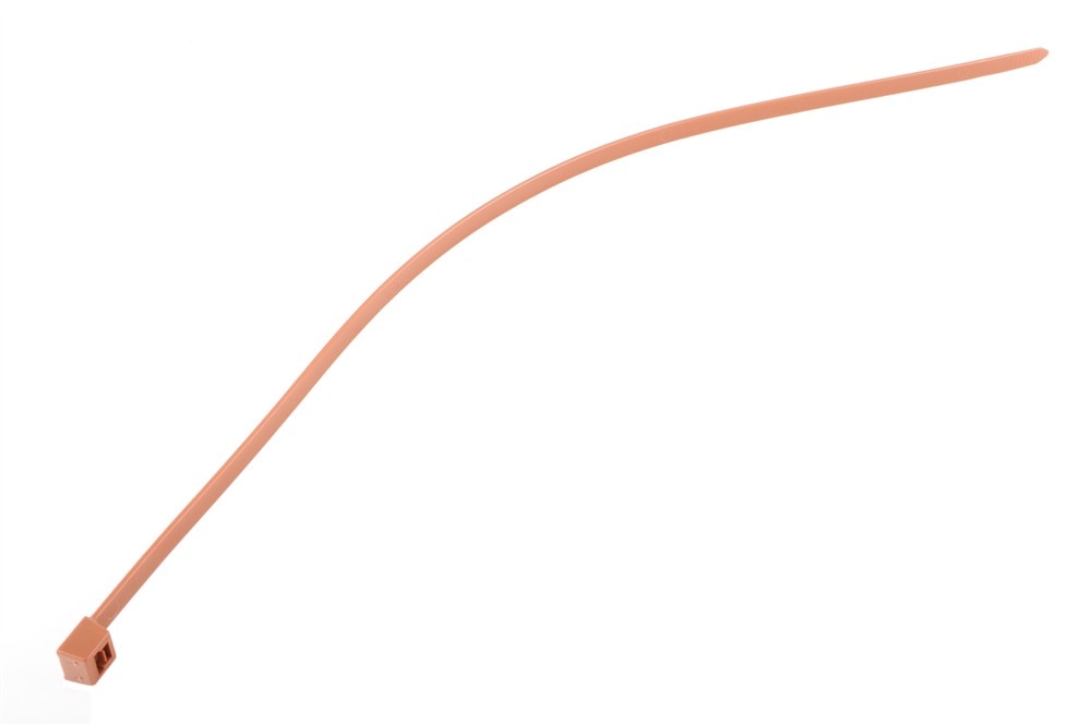 Alternate Image