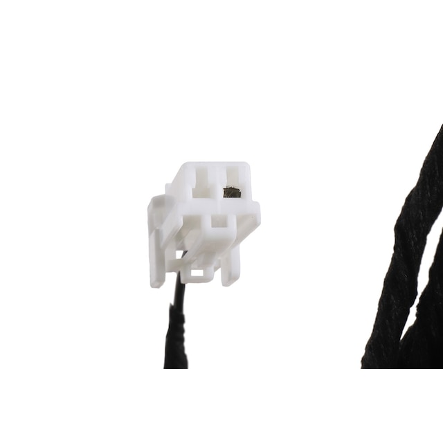Alternate Image