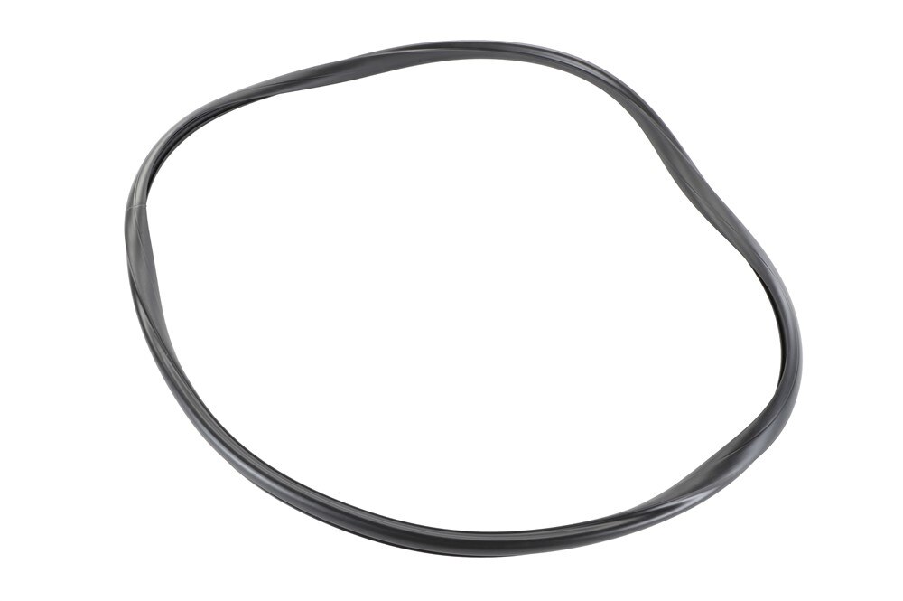 GM Genuine Parts Back Glass Seal