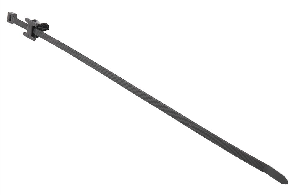 Alternate Image