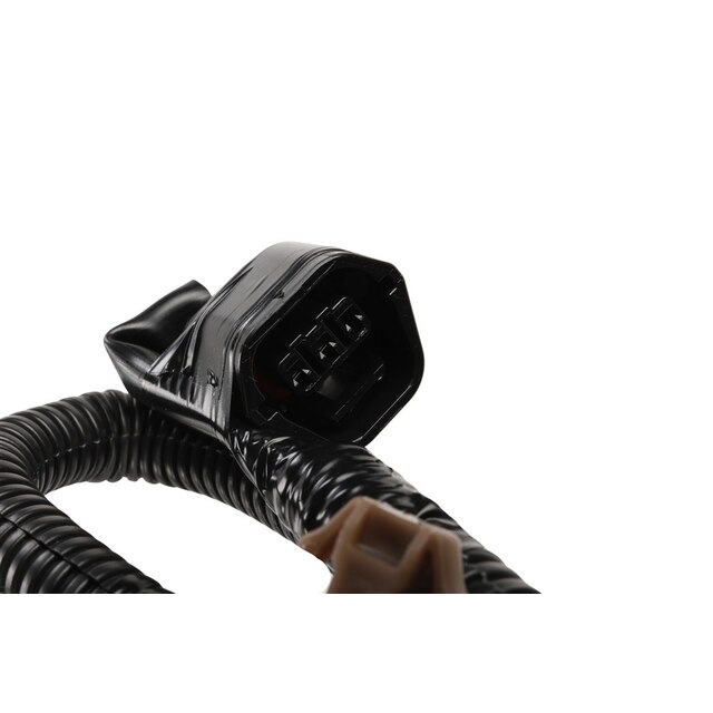 Alternate Image