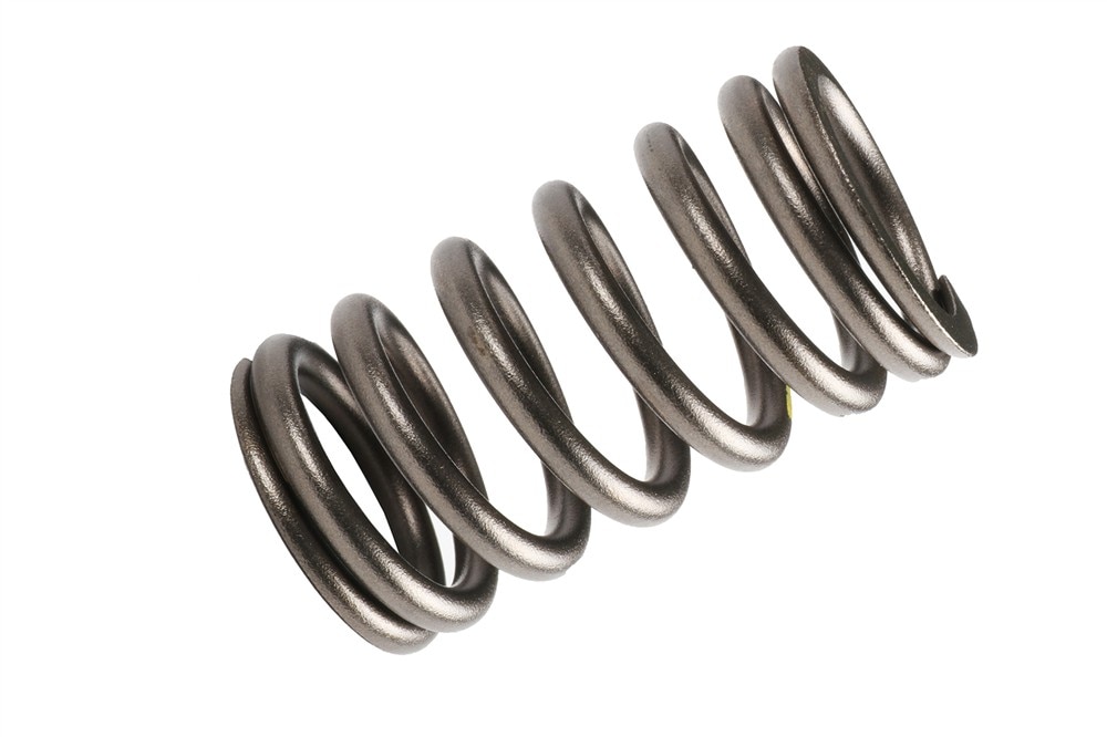 GM Genuine Parts Engine Valve Spring