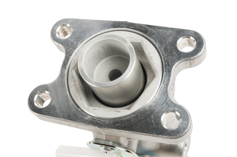 Alternate Image