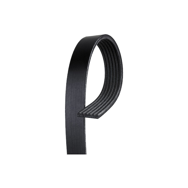 ACDelco GM Original Equipment V-Ribbed Serpentine Belt