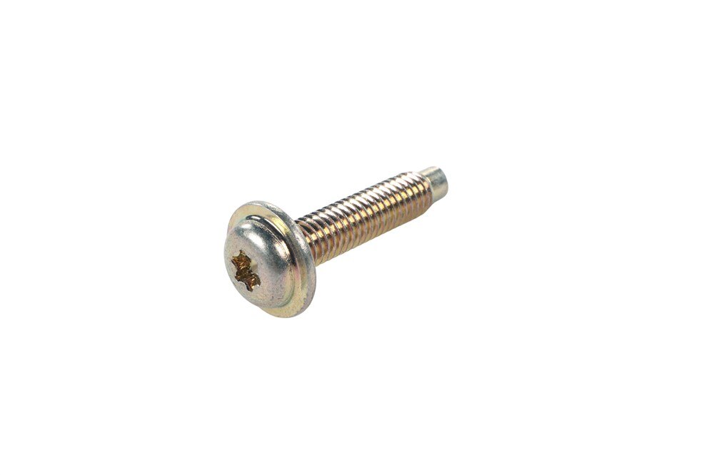 GM Genuine Parts Front Side Door Inside Handle Opening Cover Bolt