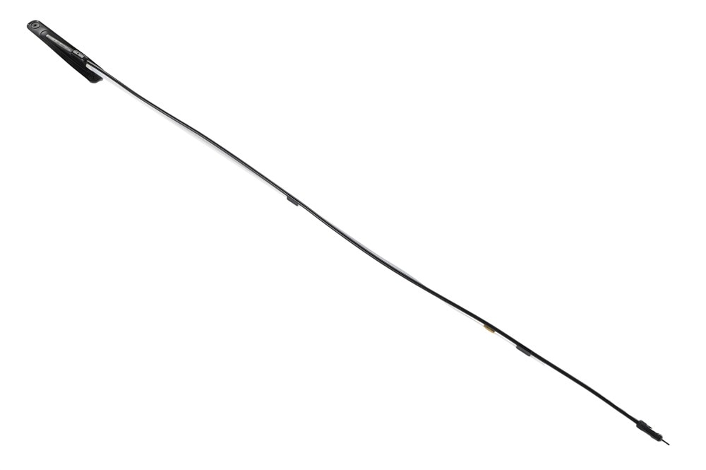 Alternate Image