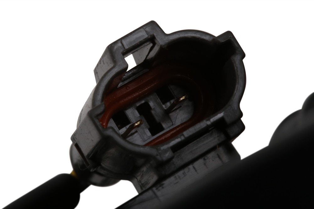 Alternate Image