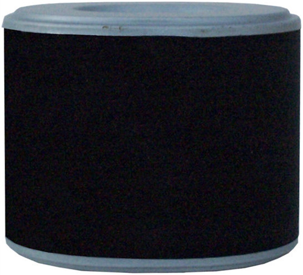 ACDelco Professional Air Filter