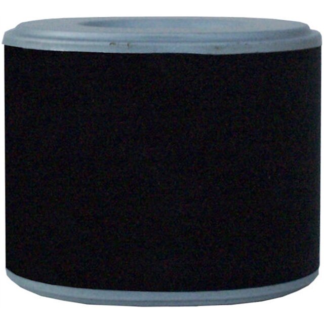 ACDelco Professional Air Filter