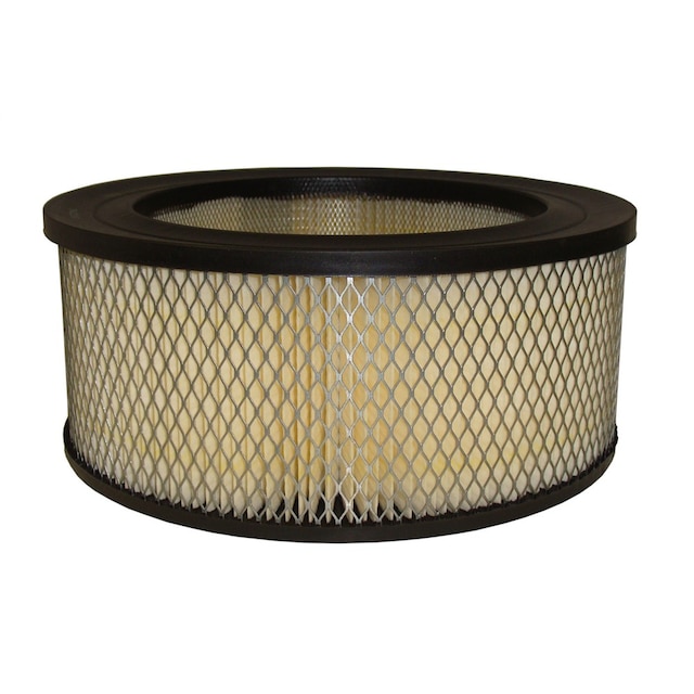 ACDelco Professional Air Filter