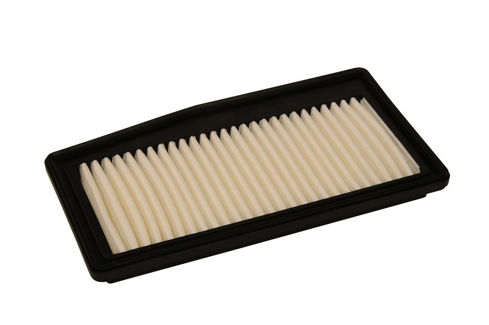 ACDelco Professional Air Filter