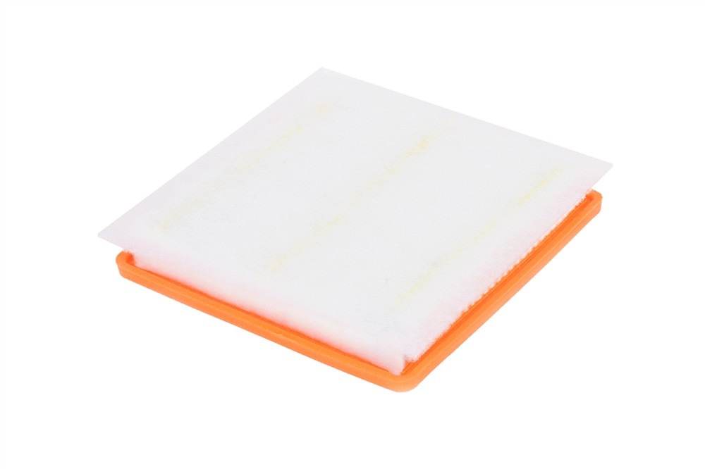 ACDelco GM Original Equipment Air Filter