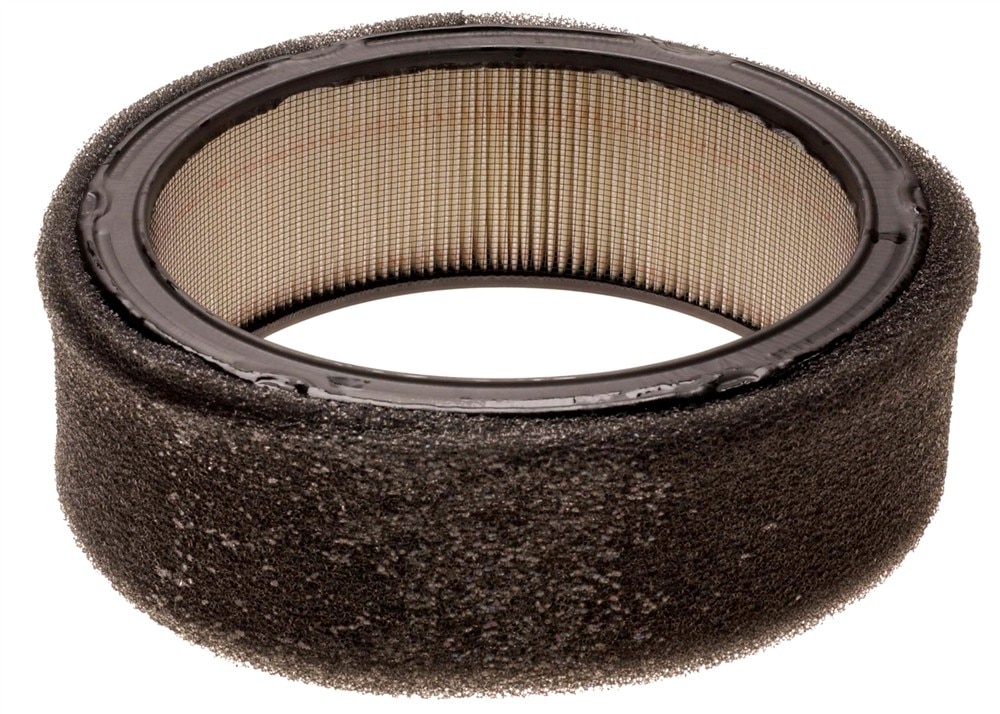 ACDelco GM Original Equipment Air Cleaner Element