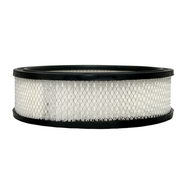 ACDelco GM Original Equipment Air Filter