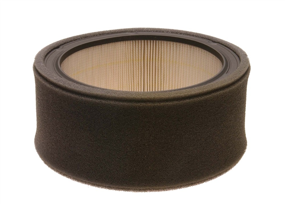 ACDelco GM Original Equipment Air Filter