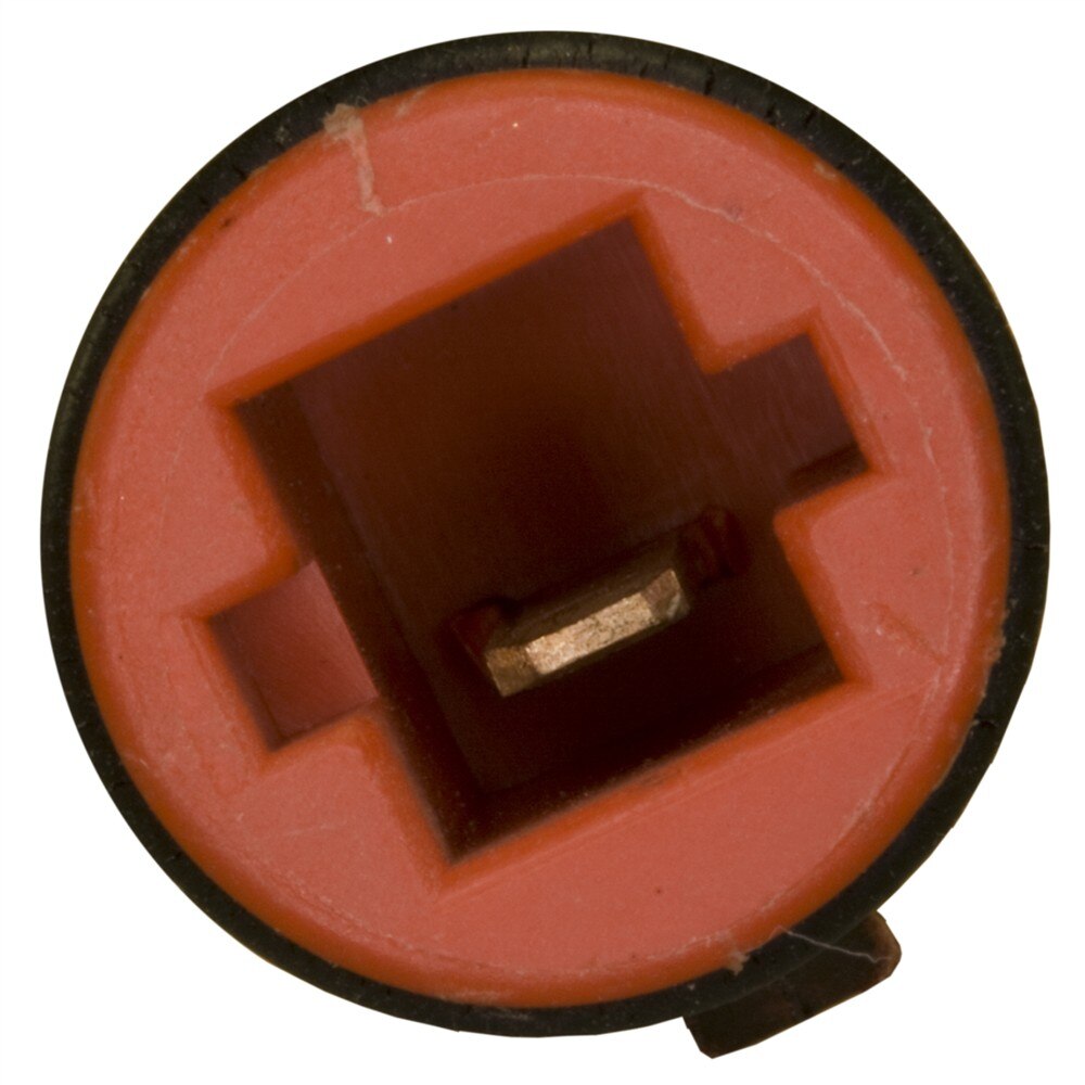 Alternate Image