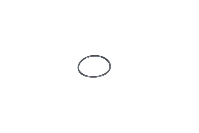 GM Genuine Parts Fuel Pump O-Ring