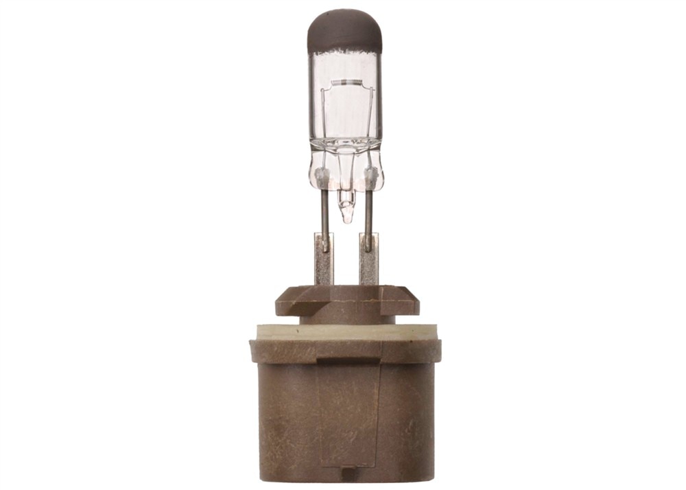ACDelco Gold Front Fog Light Bulb