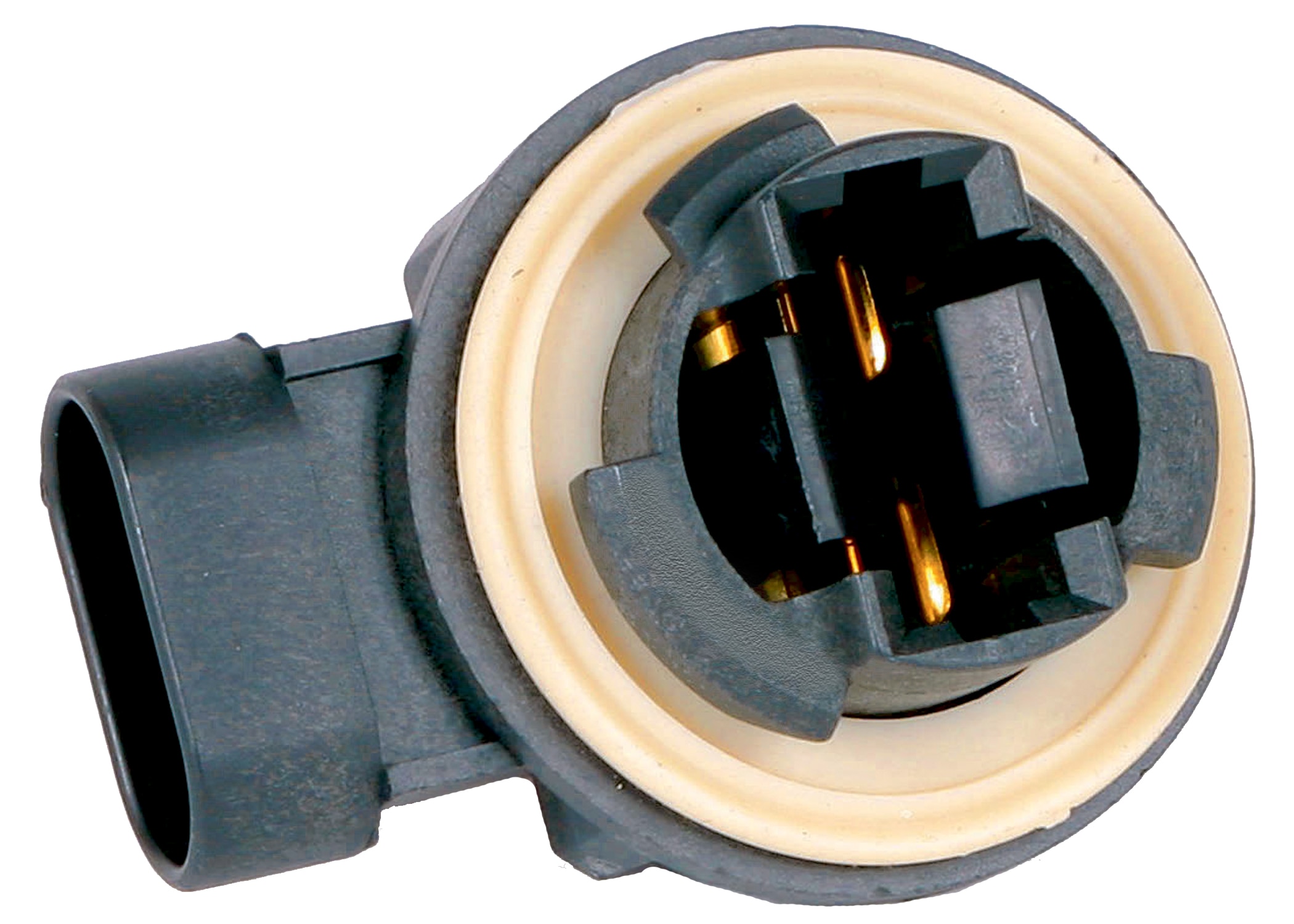 GM Genuine Parts Turn Signal and Parking Lamp Socket