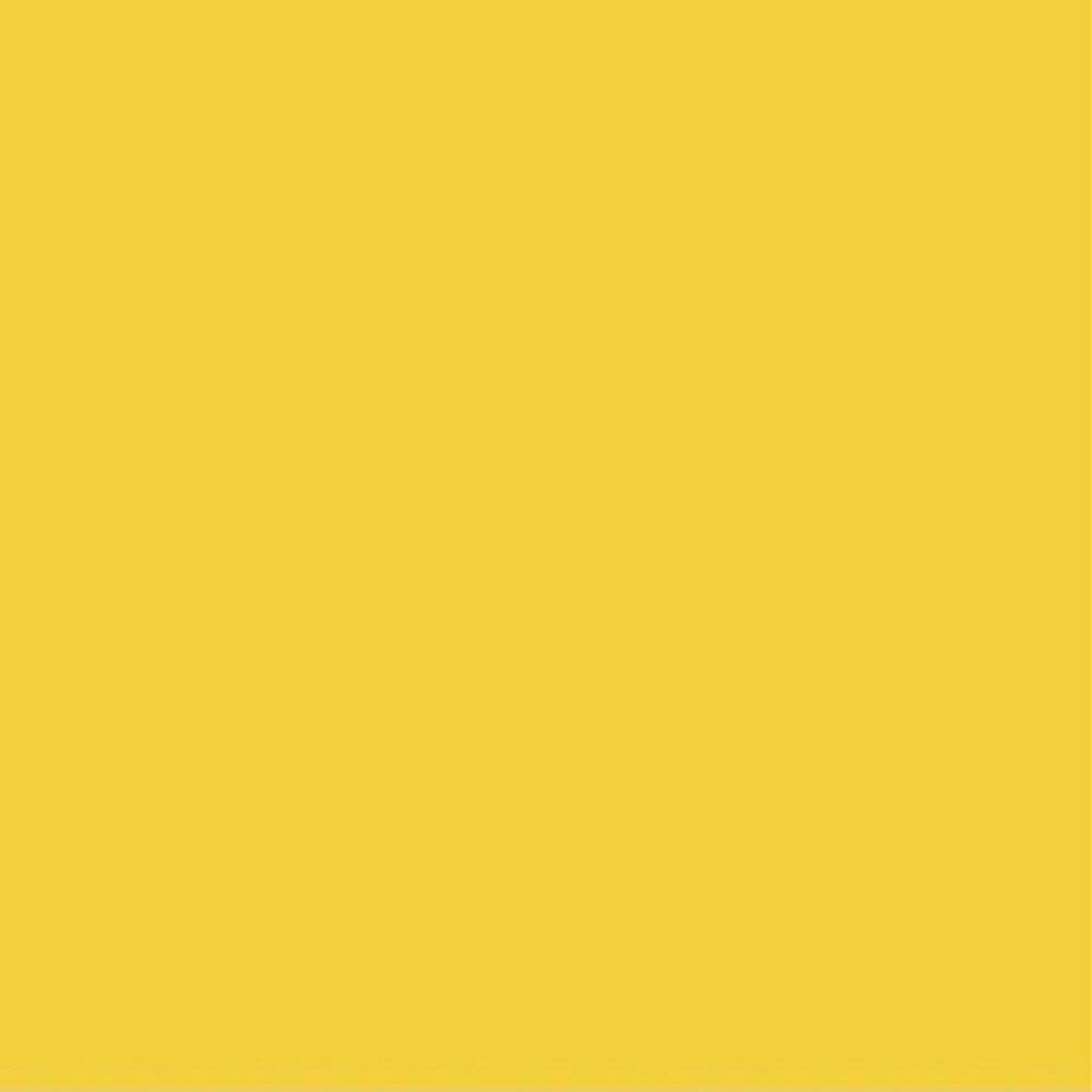 ACDelco GM Original Equipment Lemon Peel Touch-Up Paint Spray (5 oz)