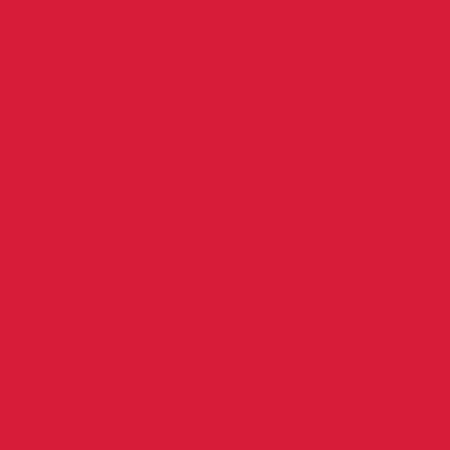 ACDelco GM Original Equipment Torch Red Touch-Up Paint Spray (5 oz)