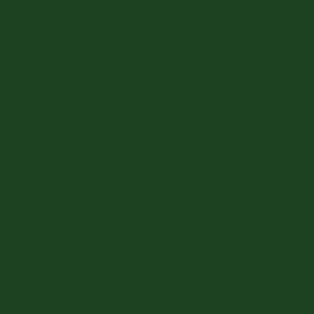 ACDelco GM Original Equipment Woodland Green Four-In-One Touch-Up Paint Pen (.5 oz)