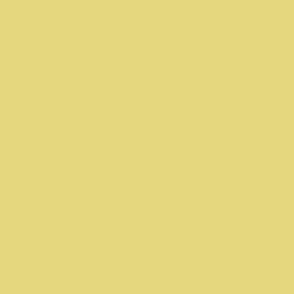 ACDelco GM Original Equipment Honey Mellow Yellow Metallic Touch-Up Paint Spray (5 oz)