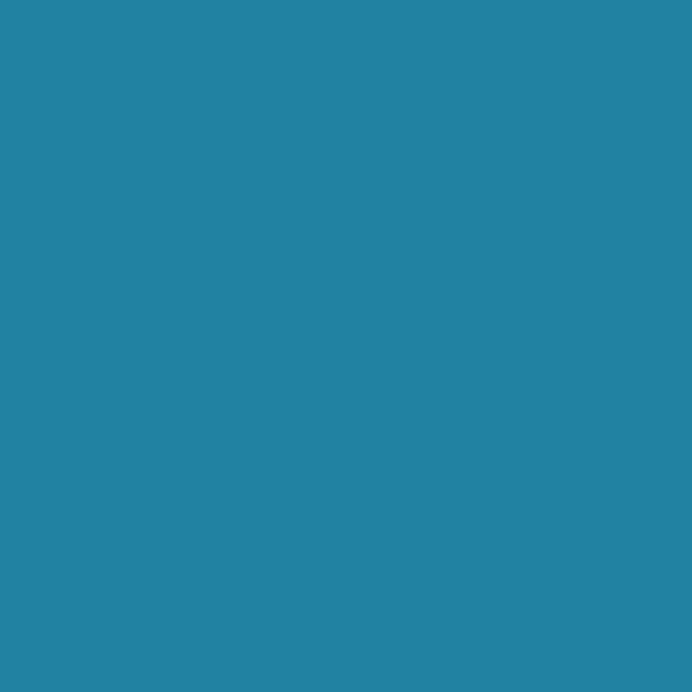 ACDelco GM Original Equipment Caribbean Metallic Four-In-One Touch-Up Paint Pen (.5 oz)