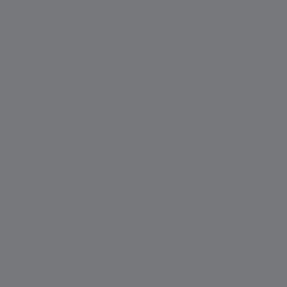 GM Genuine Parts Gray Ghost Metallic Touch-Up Paint Spray (5 oz)